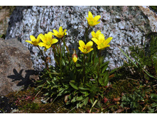 ���������� ��������.jpg