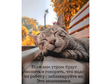 ���� ��� ����� ����� ������� � ��������, ��� ���� �� ������ - ������������ ��. ��� ���������.