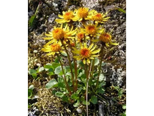 ��������� ������������.jpg