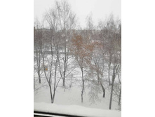 9 ������� 2021