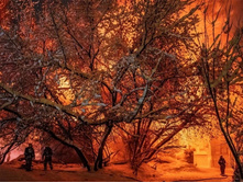 ����� �� ������� ����������3.jpg