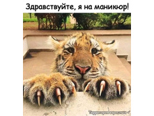 ������������, � �� �������