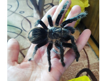 IMG 20210813 161648.jpg