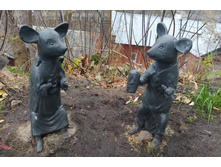 IMG 20211102 153554.jpg