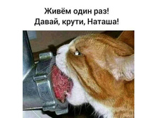 ��ף� ���� ���! �����, �����, ������!