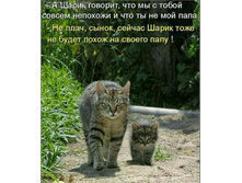 � ����� ������� ��� �� � ����� �� ������ � ��� �� �� ��� ����. �� �����, �����, ������ ����� ���� �� ����� ����� �� ������ ����!