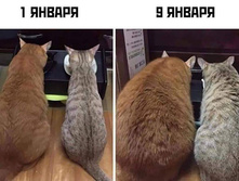 ��� � ����� ������� ������!