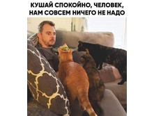 ����� ��������, �������, ��� ������ ������ �� ����