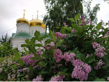 IMG 20210530 175947.jpg