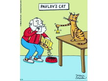 ��� �������