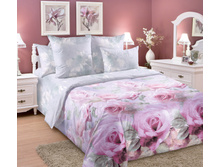 ������� 1 ������� 220 �� ������+���������