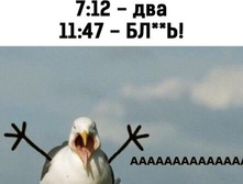 IMG 20220114 110146.jpg