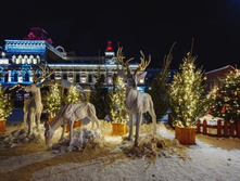 33a37220fe7e95f6e6f17cefd59385fd05e71fb9 727.jpg.webp-portal.jpg