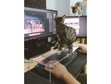 ������, ��� ����� ������!