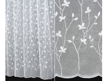 ��� ������� ������ 246.jpg