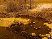 B2ce45e883a33dcfa90351b68622018469ac6cea 727.jpg.webp-portal.jpg