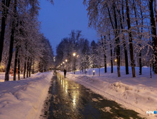 8195da4b3747ab39d11e7a73141a93206ae8c9a6 727.jpg.webp-portal.jpg