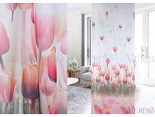 ����� ������� ���� 205.jpg