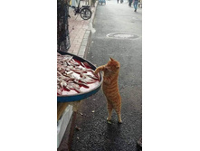 ����� ��� �� ������!