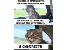 IMG 20211221 025610.jpg