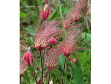 �������� ������������� ��� ������.jpg