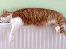 �����-�-�-�-� ....