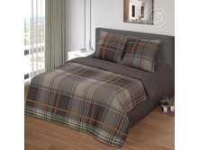 ������ ���� 220 �� ������+���������