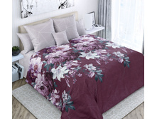 ������ ���� ����� 220 �� ������+���������