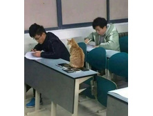 � �� �� ���������! � �ӣ ����!