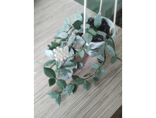 Lacunosa "Eskimo silver"