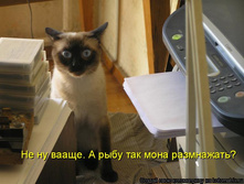 �� �� ������. � ���� ��� ����� ����������?