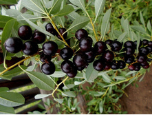 ����� ������ +22�