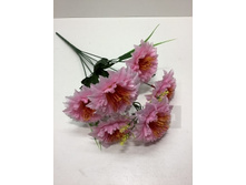 54.00 ���./��. 2544 ����� ���������, 6 �