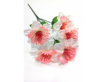 25 ���./��. 1865 ����� ���������, 5 �