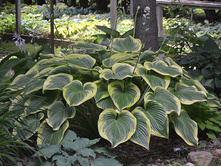 �������+22�(No1)