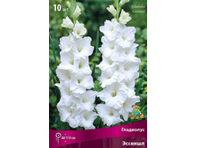 ���������� ������� 10 12 (��.10) ����� (���������������) ���� 165 � +��� ���� �������� 1 ��.jpg