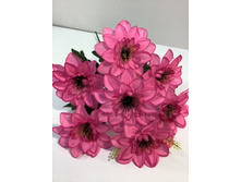 79.00 ���./��. 2979 ����� ���������, 7 �