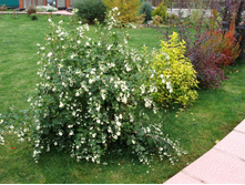 �������������