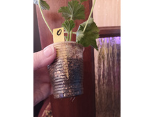 IMG 20220225 101841.jpg