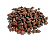 ���� �������� �����������