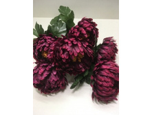 199.00 ���./��. 2504 ����� ���������, 7 �