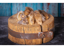 �������� ����� �������� (��������).jpg