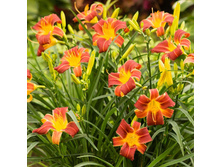 ������������ ��� ���+22� �400 (�)