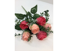 59.00 ���./��. 2974 ����� ��� ������� �����������, 6 �