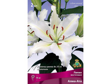 ����� ����-��� 14 16 (��.2) �����, ��������� ���� 98 � +��� ����  �������� 1��.jpeg