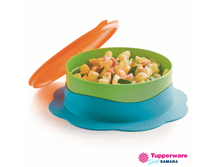 �������� ����� ����� 1550 ���