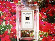 74RED ROSES JO MALONE ��� 100 �� 6800+%+����