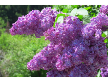 ������ ���.JPG