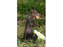 ������-������ �� ��������!