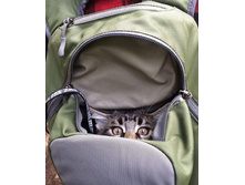 ���! ������ ������, ��� ��� ��� ��� �������!